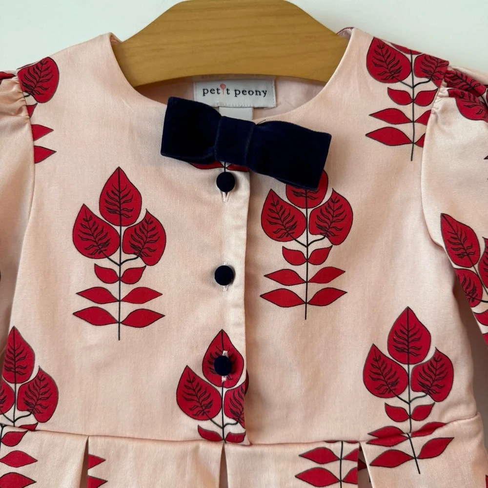 Petit Peony Girls Red 🍁 Print Dress